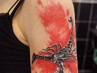 тату скорпион треш полька