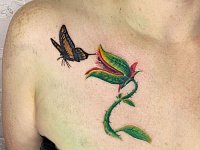 Тату венерина мухоловка и бабочка