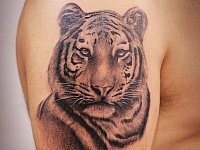 Татуировка тигр на плече