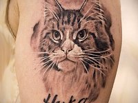 Тату мейн-кун