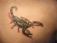 Мужская тату скорпион