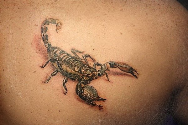 Мужская тату скорпион