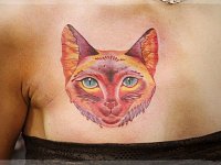 тату кошка на груди