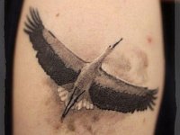 Татуировка аист