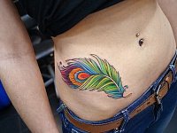 Тату перо на животе