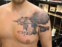 Тату орёл птица на груди