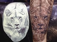 Тату львица на руке
