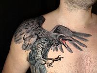 Тату ворон на груди