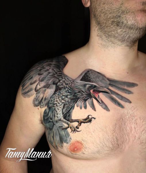 Тату ворон на груди