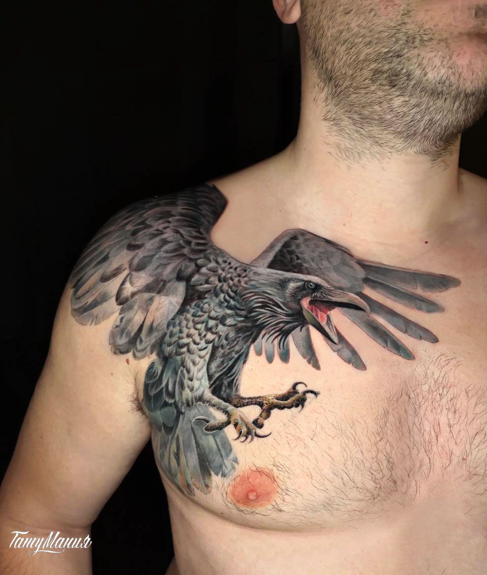 Тату ворон на груди