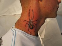 Мужская тату паук на шее