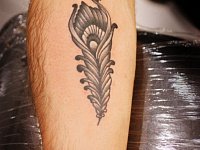 тату декоративное перо