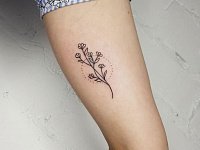 Тату сухоцвет