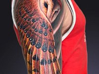 Тату сипуха на плече