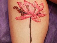 Татуировка лотос и черепаха