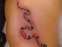 Тату змейка