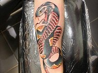 Татуировка змея нью скул