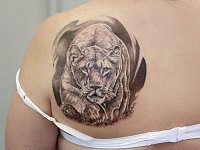 тату крадущаяся львица на лопатке