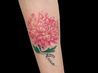 Тату хризантема с именем Анна