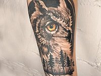 Тату филин и лес