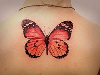 Тату красная бабочка на спине