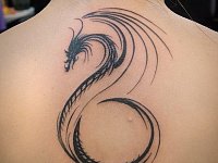 Тату дракон на спине