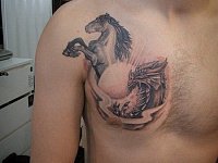 Татуировка лошадь и дракон на груди