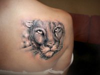 татуировка львица на спине