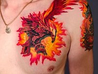 Тату феникс на груди