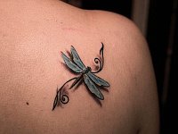 Маленькая татуировка стрекоза с узором