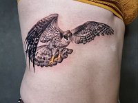 Тату ястреб на ребрах