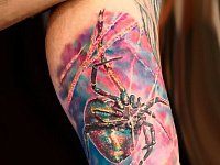 Тату паук на бицепсе