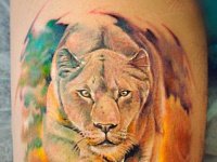 тату львица