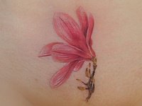 Тату цветок внизу живота