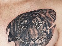 Тату морда тигра на груди