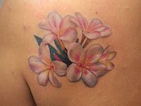 тату белый цветок