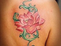 Тату цветок лотоса на спине