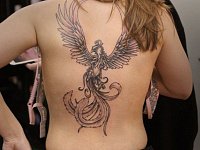 Тату птица феникс на спине
