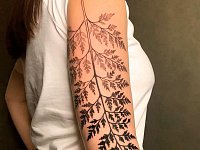 Тату папортник на руке