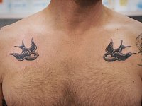 Тату на ключицах ласточки олд скул