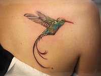 Тату колибри на лопатке