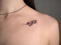 Тату веточка на ключице