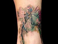 Тату стрекоза на ступне