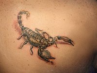 татуировка скорпион на лопатке