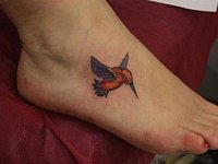 тату колибри на ноге