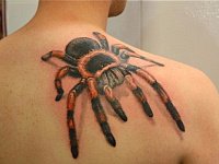 Тату на спине паук 3d