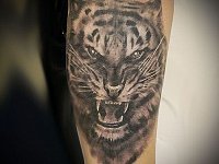 Татуировка тигр черно белая