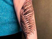 Тату крыло на руке