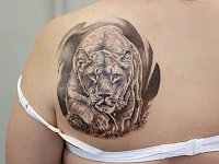 Татуировка львица