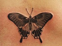 Тату бабочка